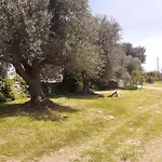 Torre Marinella