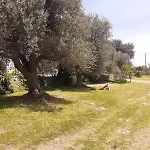 Landsted Torre Marinella *