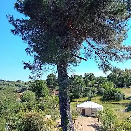 Country house Torre Marinella Ostuni