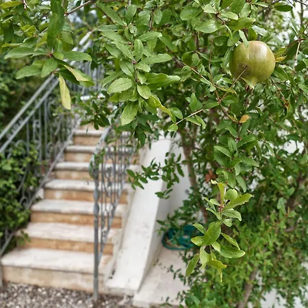 Torre Marinella Country house Ostuni