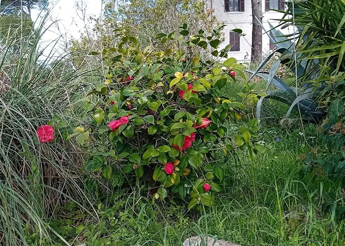 Torre Marinella Landhuis *