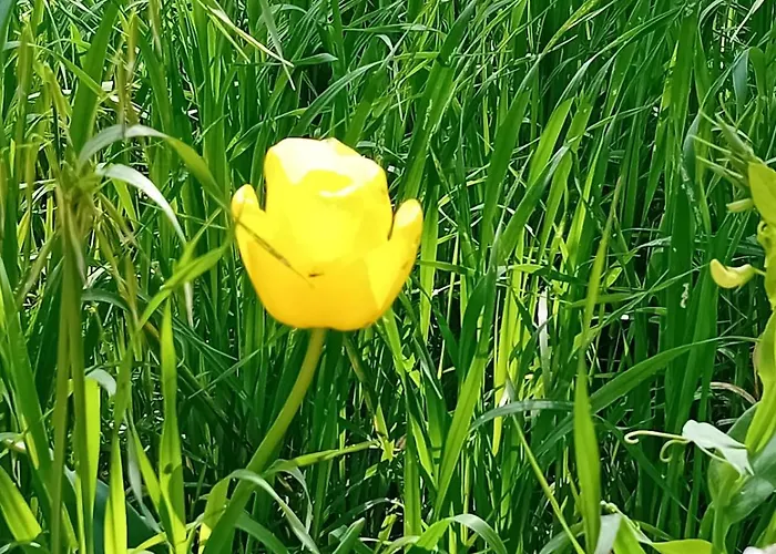 Torre Marinella Ostuni