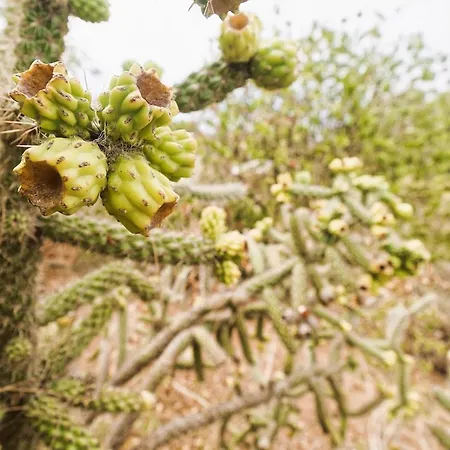 Torre Marinella Landhaus