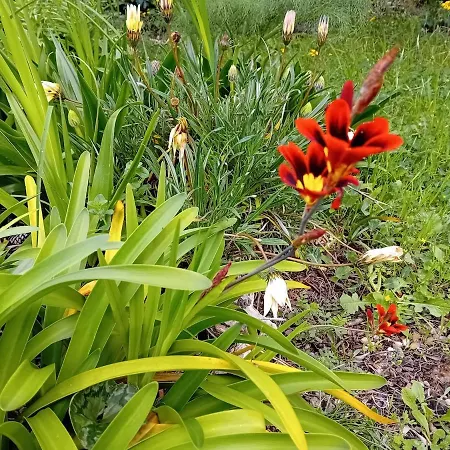 Torre Marinella Country house Ostuni