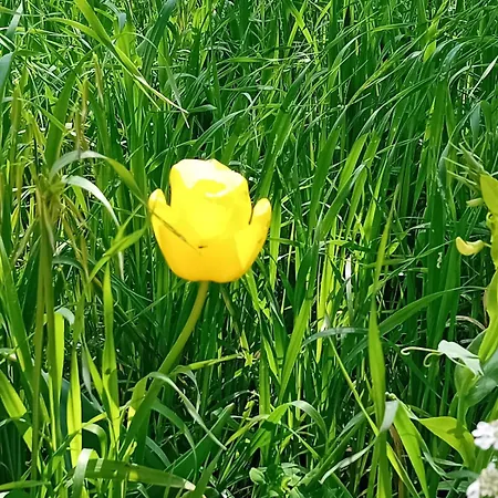 Torre Marinella Ostuni
